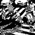 "Piétons piétinants" linogravure 30x40 cm. 2007