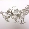monotype