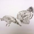 monotype