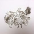 monotype