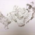 monotype