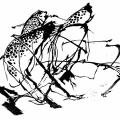 "Quête et requête" linogravure 30x40 cm. 2007